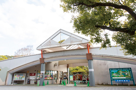 大牟田市動物園の画像