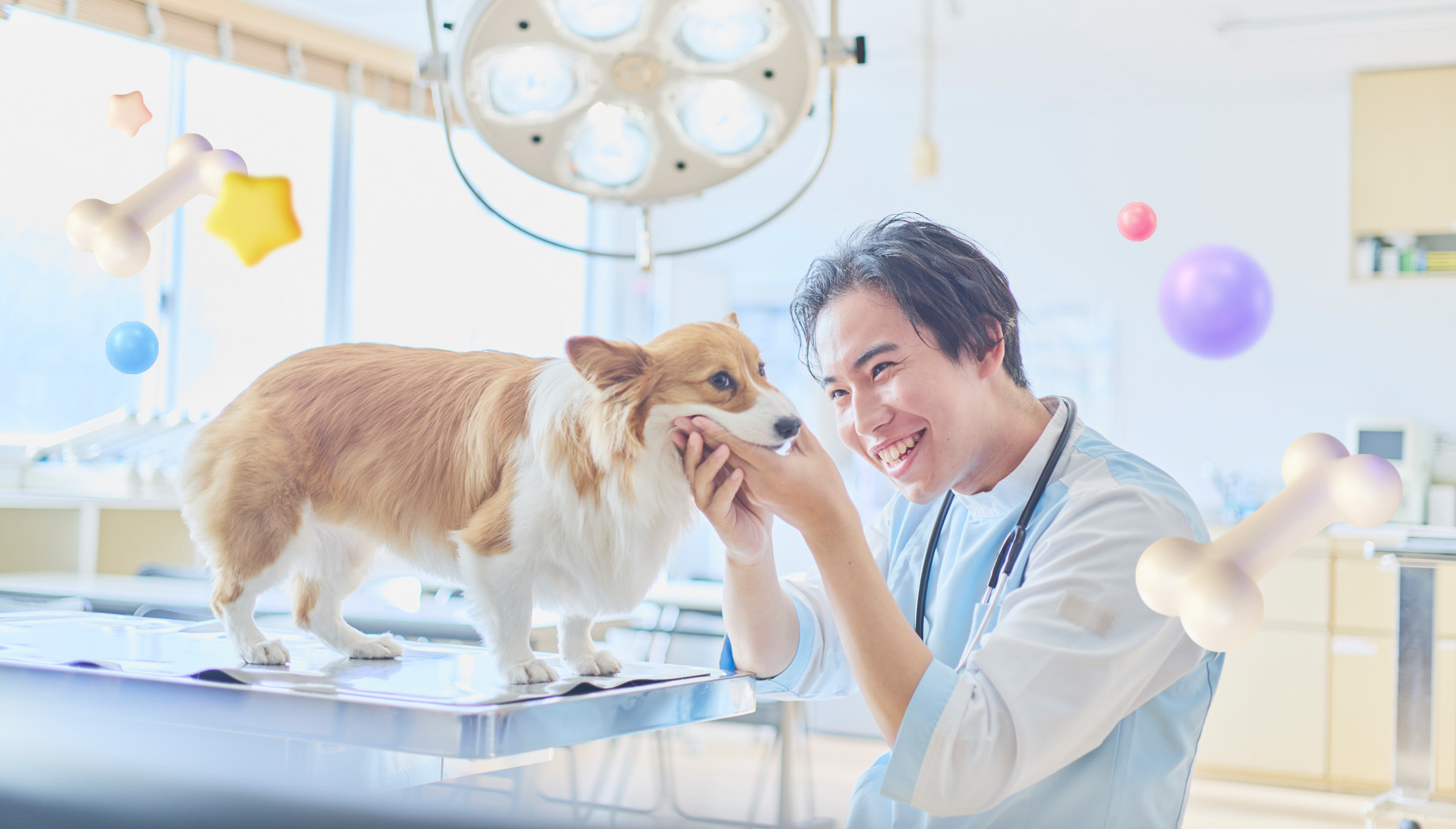 診察台の上の犬の様子を見る動物看護師