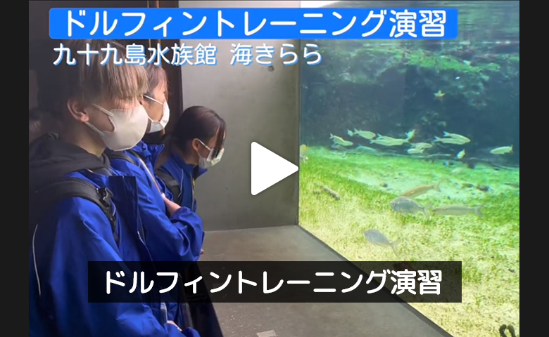 長崎の「九十九島水族館 海きらら」ドルフィントレーニング演習を実施