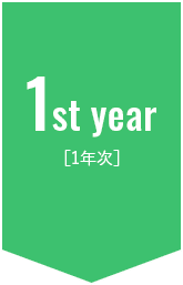 1st year [1年次]