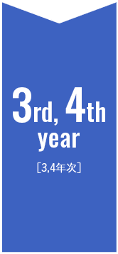 3ed, 4th year [3,4年次]