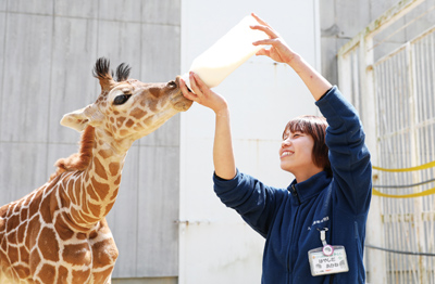 キリンの赤ちゃんにミルクをあげる林田さん