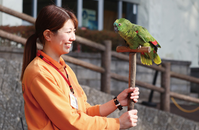 鳥類の世話をする小野さん