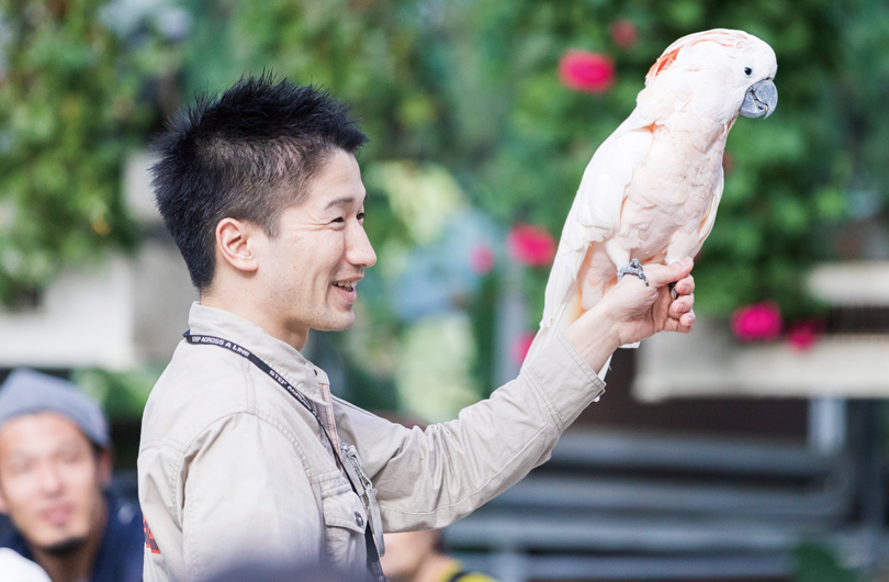 鳥を腕に乗せる田中さん