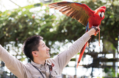 鳥の飛び方を披露する田中さん