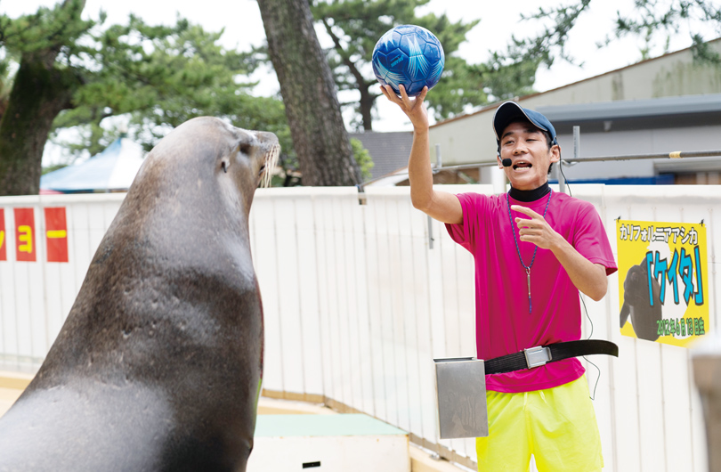 アシカショーを行う丸野さん