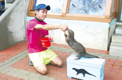 カワウソに餌をあげる丸野さん