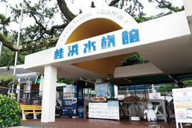公益社団法人 桂浜水族館の画像