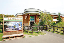 北の大地の水族館