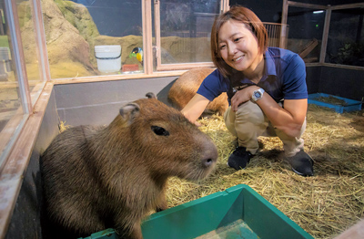 水陸問わず、全ての動物を飼育員が交代で飼育します