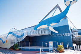 マリホ水族館