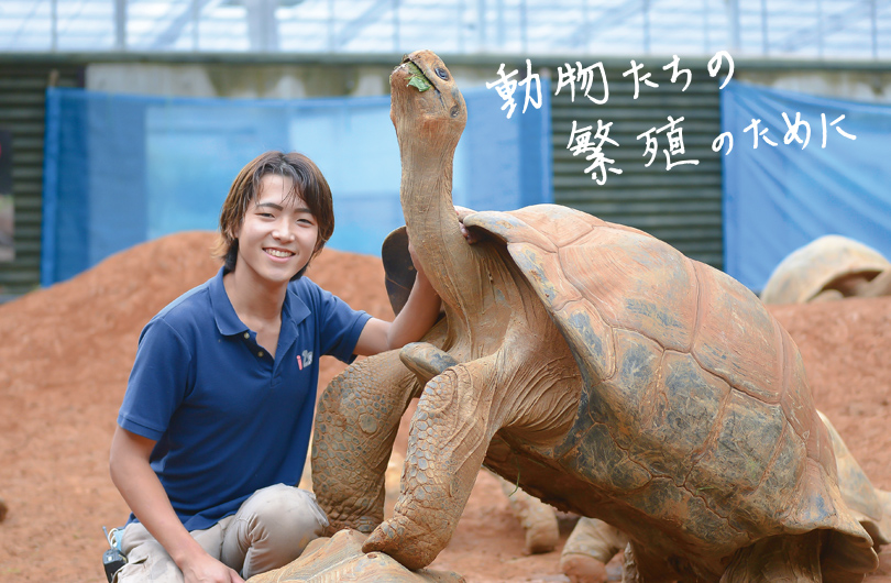 動物たちの繁殖のために