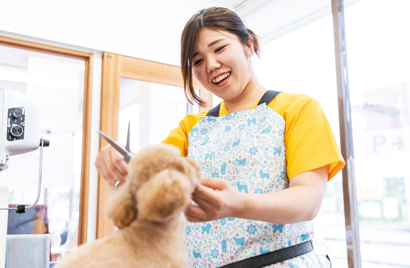 犬、そして飼い主さんに安心してもらえる存在になりたい