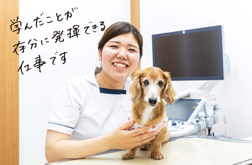 犬、そして飼い主さんに安心してもらえる存在になりたい