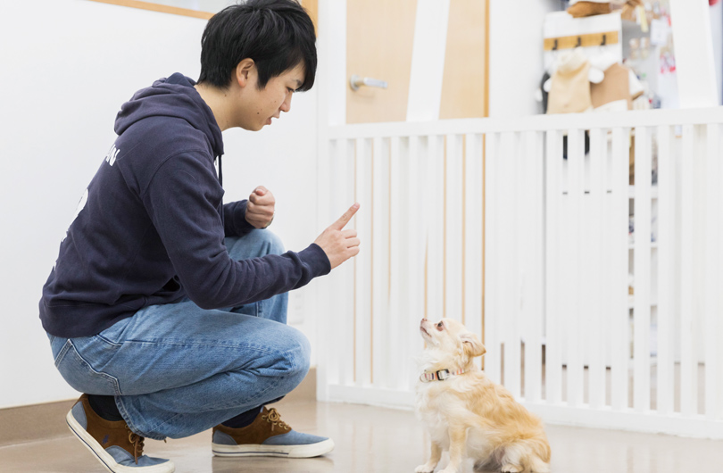 飼い主さんの身近な存在として、困っていることを幅広く解決できる