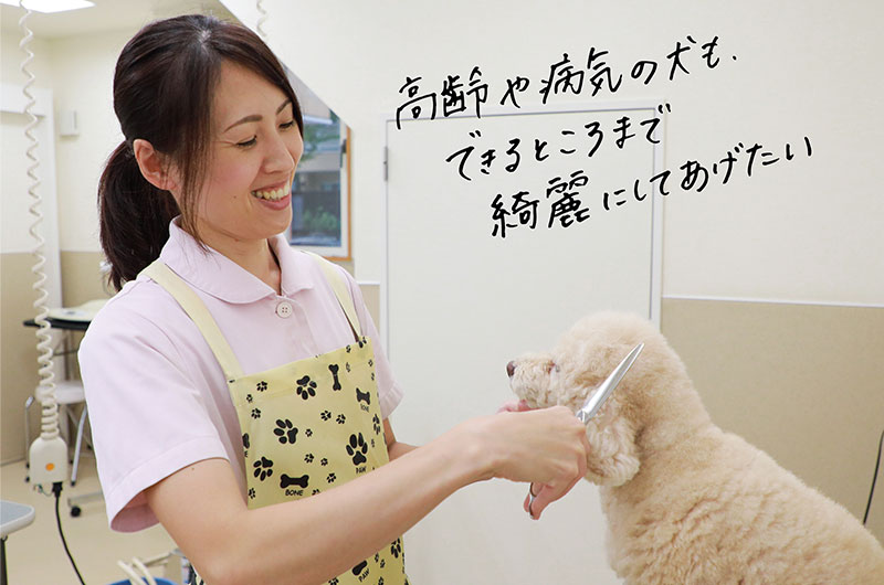 高齢や病気の犬も、できるところまで綺麗にしてあげたい