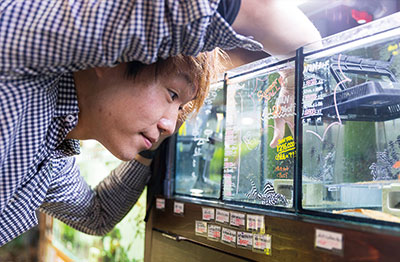 水槽のメンテナンスを行う山田さん