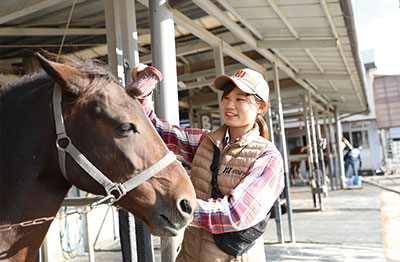 馬をブラッシングする井上さん