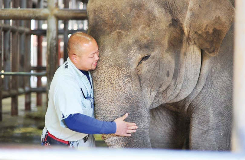 象を抱き抱える山岡さん