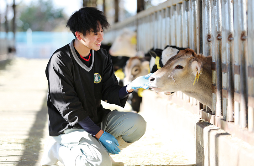 本村さん