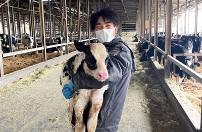 助産をした子牛には特に思い入れと愛着がわきます