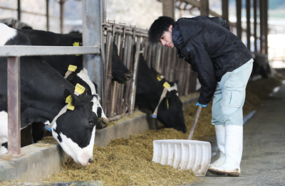 牛だけでなく、働く人のためにも衛生管理には特に気を配ります