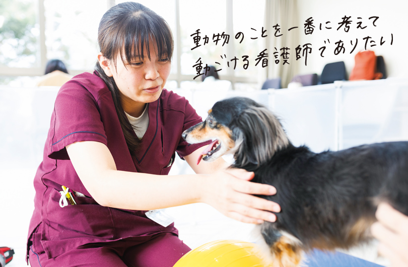 動物のことを一番に考えて動ける看護師でありたい