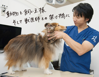 動物看護師