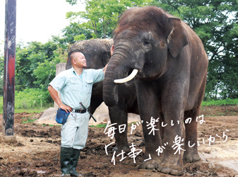 動物園飼育員