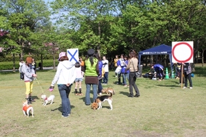 Img_2013_2