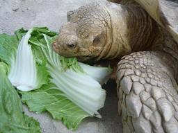 Photo_14