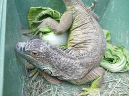 Photo_15
