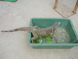 Photo_16