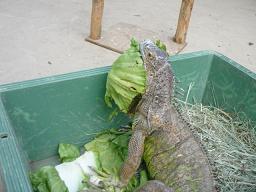 Photo_19