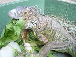 Photo_21