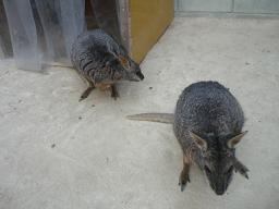 Photo_23