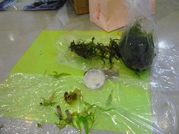 Photo_4
