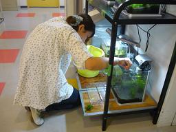 Photo_6