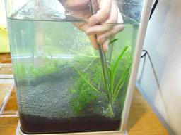 Photo_7