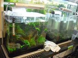 Photo_8