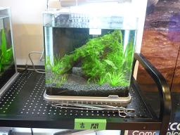 Photo_9
