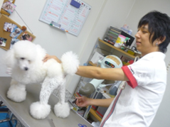 Photo_2