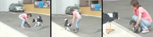 Photo_6
