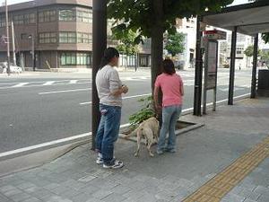 Photo_3