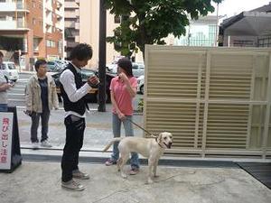 Photo_7
