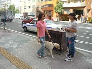 Photo_8