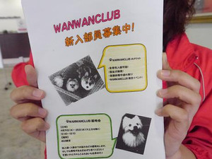 Photo_3