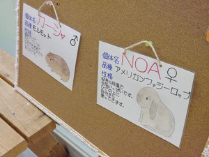 Photo_10