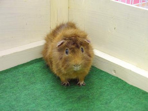Photo_11