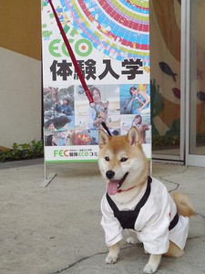 Photo_14